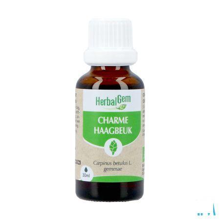 Herbalgem Charme Bio 30 ml