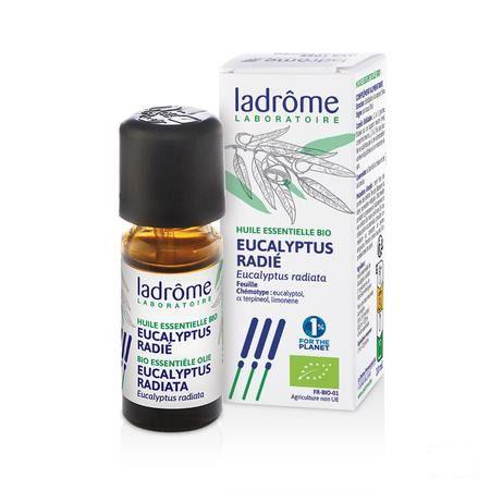 Mannavita Huile Essentielle Eucalyptus Radiata 10 ml
