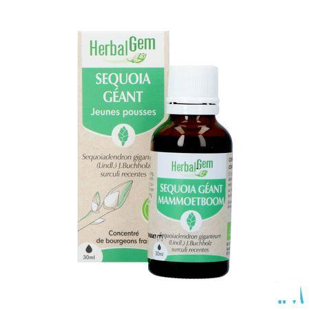 Herbalgem Mammoetboom Bio 30 ml