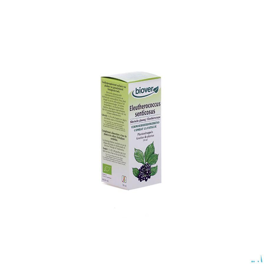 Siberische Ginseng Bio Teinture 50 ml   -  Ocebio