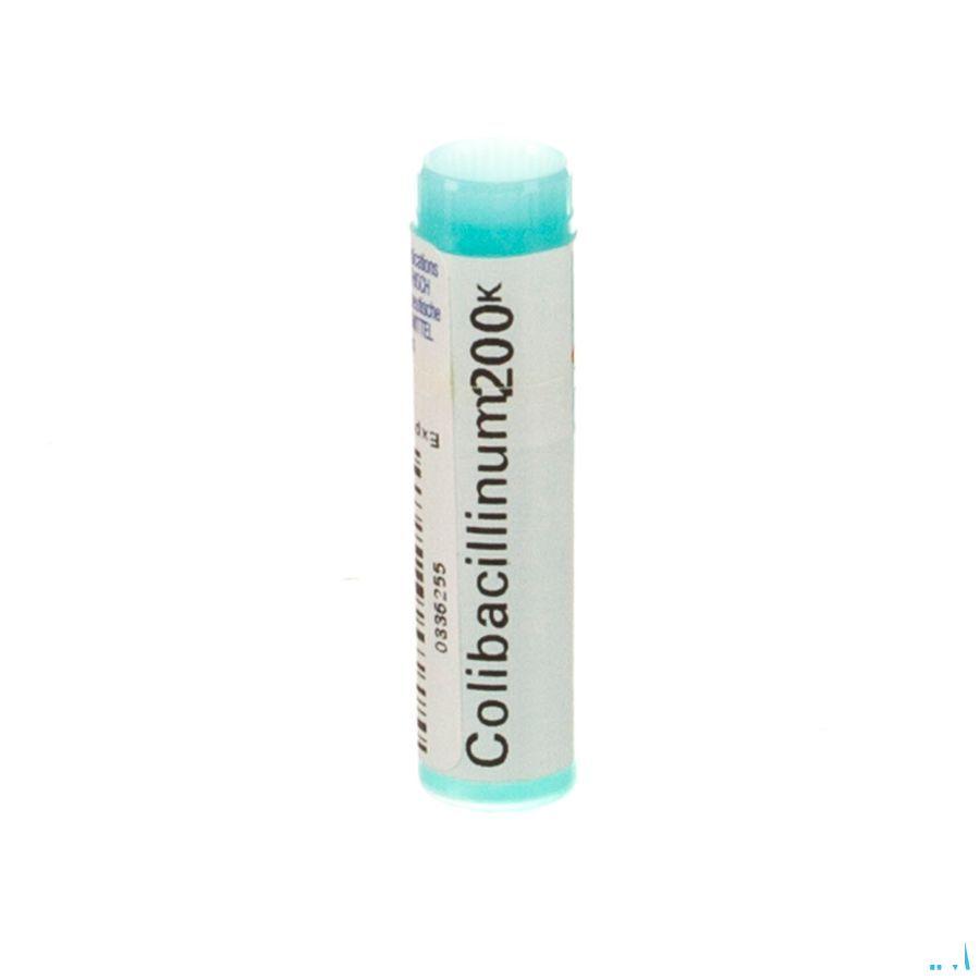 Colibacillinum 200K Gl  -  Boiron