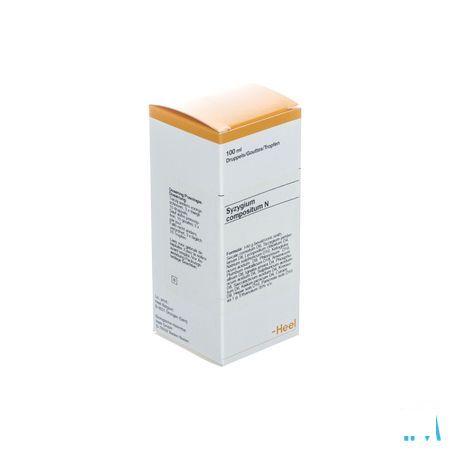Syzygium-heel Compositum N Druppels 100 ml  -  Heel