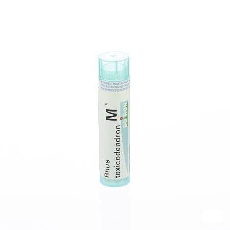 Rhus Toxicodendron MK Gr 4g  -  Boiron