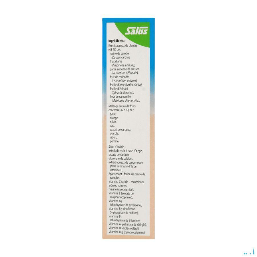 Salus Floradix Kindervital Elexir 250 ml  -  Ocebio