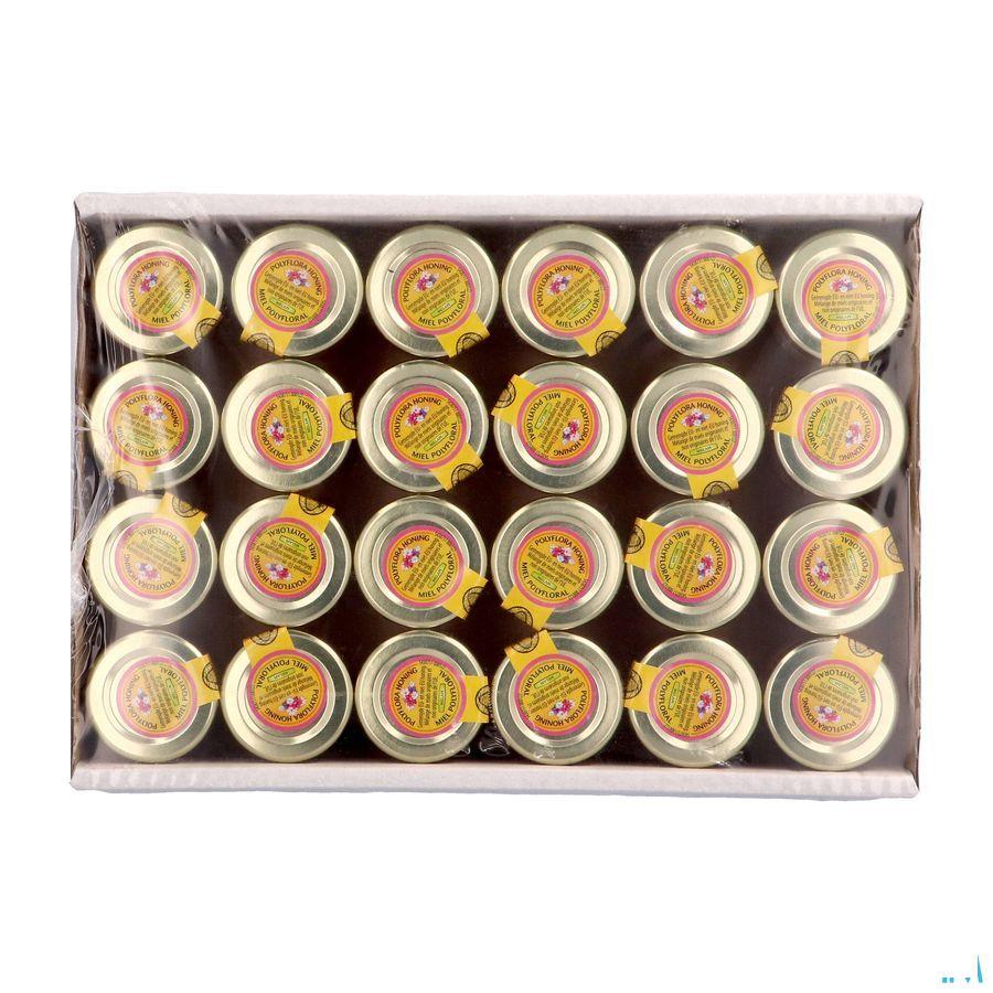 Melapi Honing Polyflora 24X40 g 3072 Revogan