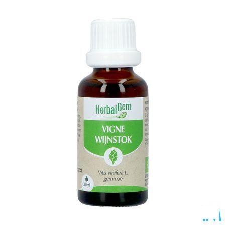 Herbalgem Vigne Bio 30 ml