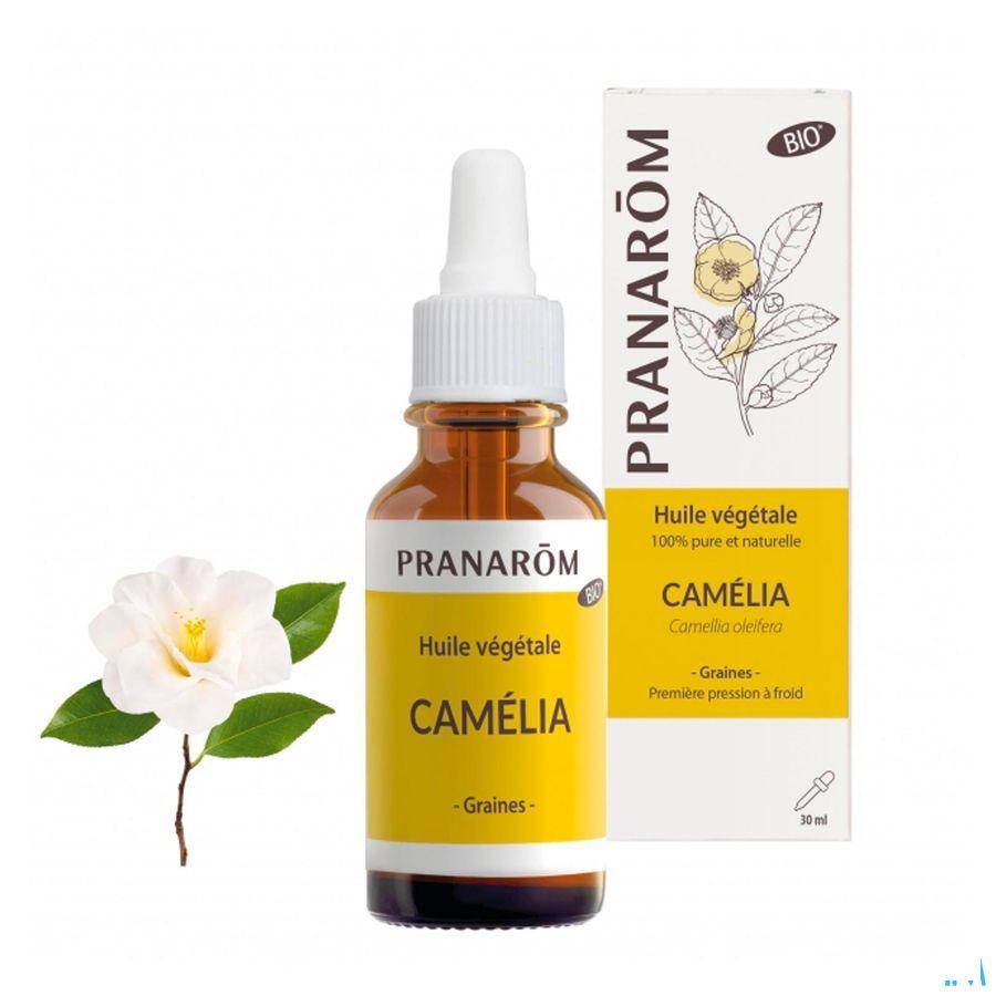 Pranarom Huiles Vegetales Camelia Bio 30 ml  -  Pranarom