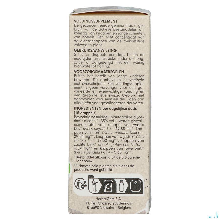 Herbalgem Artigem Bio 30 ml