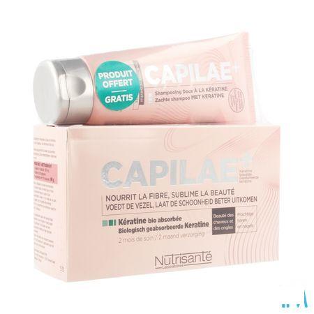 Capilae 2m Capsule 120 + Shampooing Keratine 100 ml  -  Nutrisante