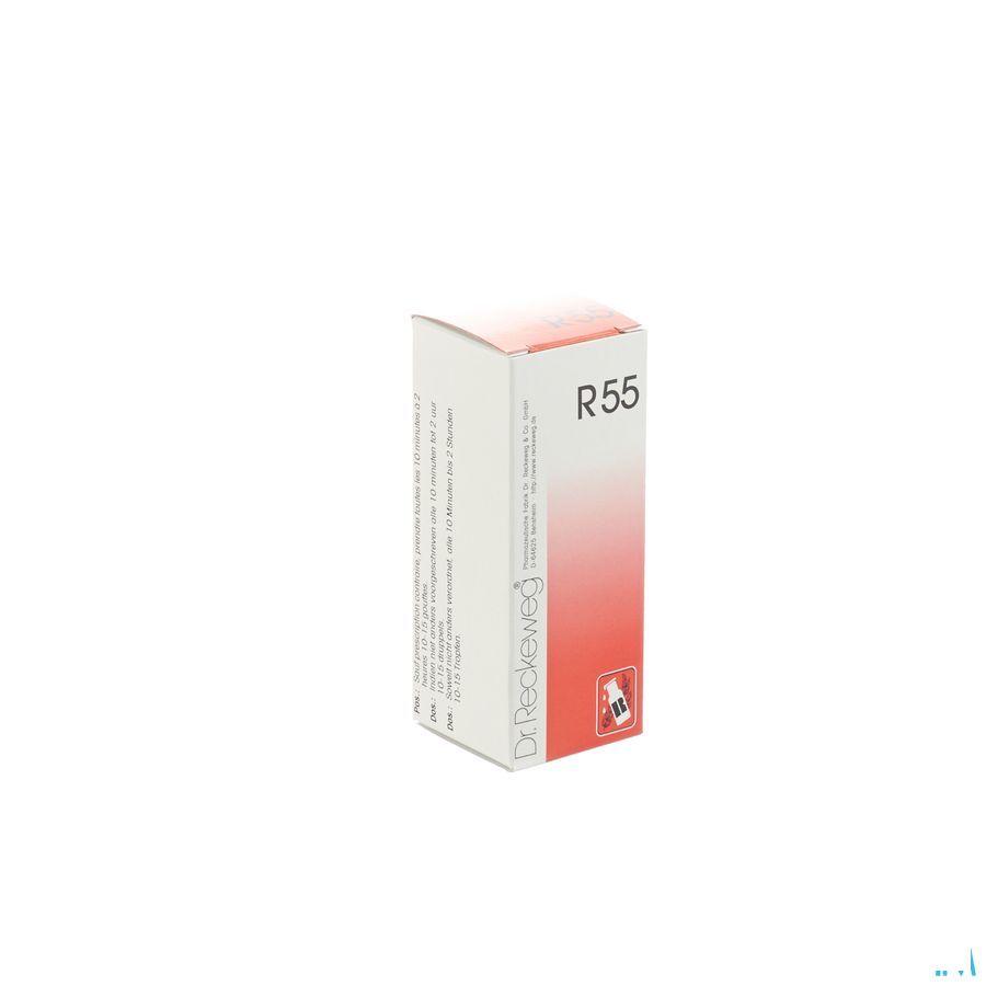 Reckeweg Dr. R55 Druppels 50 ml  -  Nut-Hom-Phyt