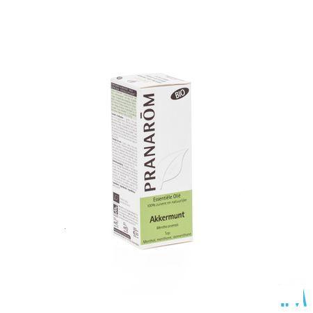 Munt Bio Essentiele Olie 10 ml  -  Pranarom