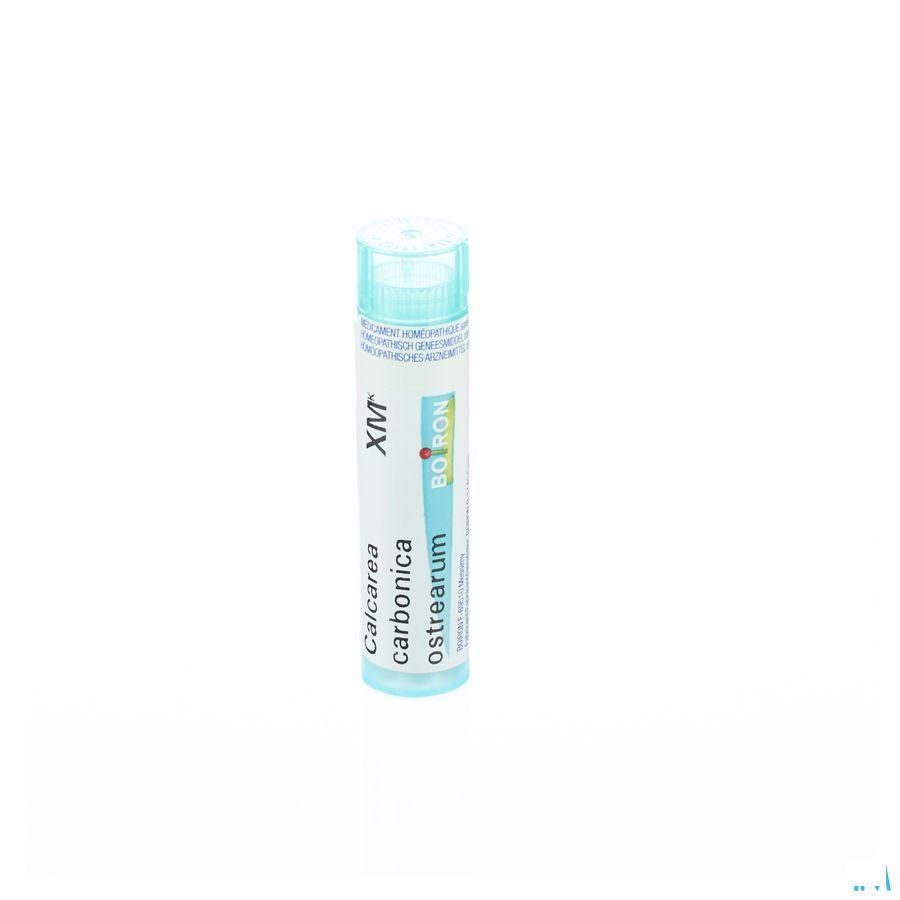 Calcarea Carbonica Ostrearum XMK Gr 4g  -  Boiron