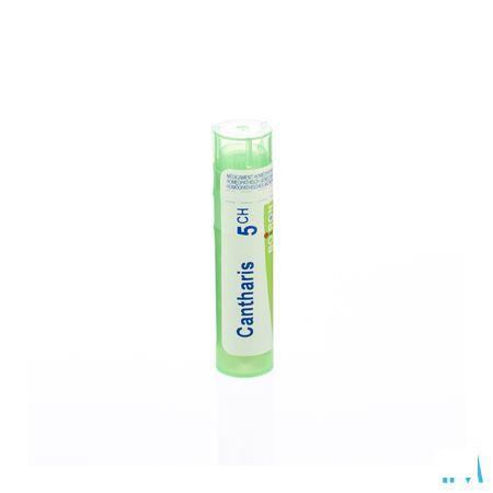 Cantharis 5CH Gr 4g  -  Boiron