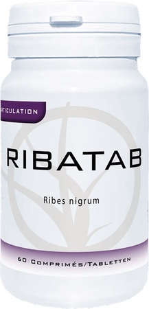 Ribatab Tabletten 60x300 mg Dynar  -  Dynarop Products