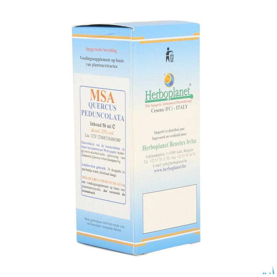 Quercus Peduncolata Msa Maceraat Druppels 50 ml  -  Herboplanet