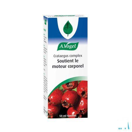 Vogel Crataegus Complex Gouttes 50 ml  -  A.vogel
