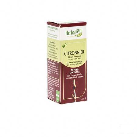 Herbalgem Citroenboom Maceraat 15 ml  -  Herbalgem