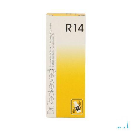 Reckeweg Dr. R14 Druppels 50 ml  -  Nut-Hom-Phyt