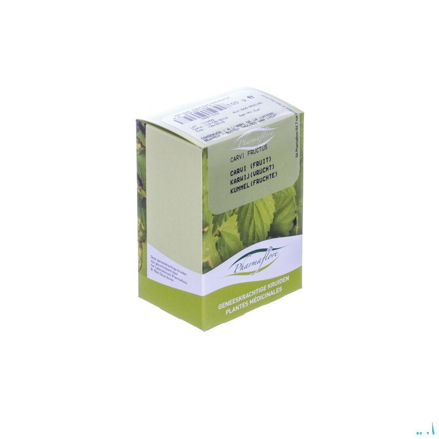 Carvi Fruit Boite 100 gr  -  Fagron