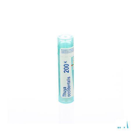 Thuya Occidentalis 200K Gr 4g  -  Boiron