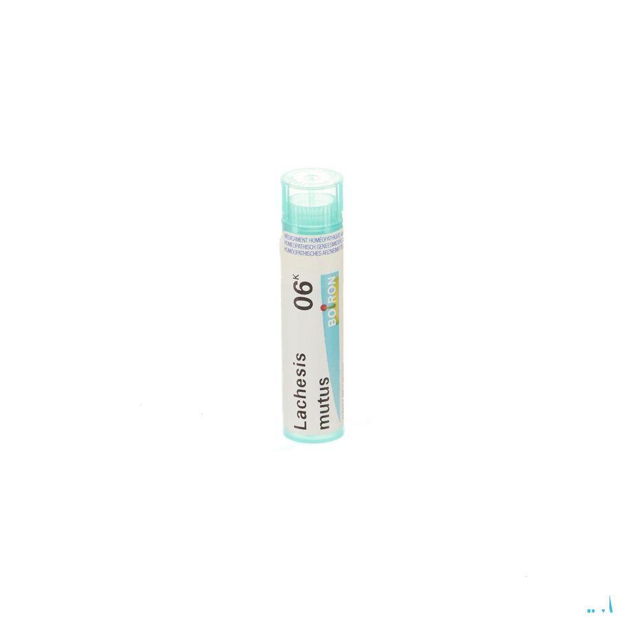 Lachesis Mutus 6k Gr 4g  -  Boiron
