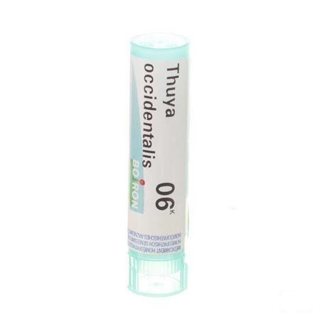 Thuya Occidentalis 6k Gr 4g  -  Boiron