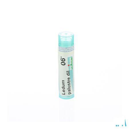 Ledum Palustre 6k Gr 4g  -  Boiron