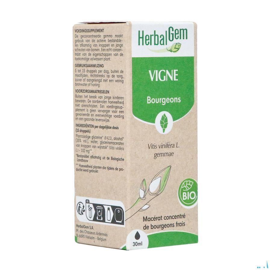 Herbalgem Vigne Bio 30 ml