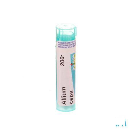 Allium Cepa 200K Gr 4g  -  Boiron