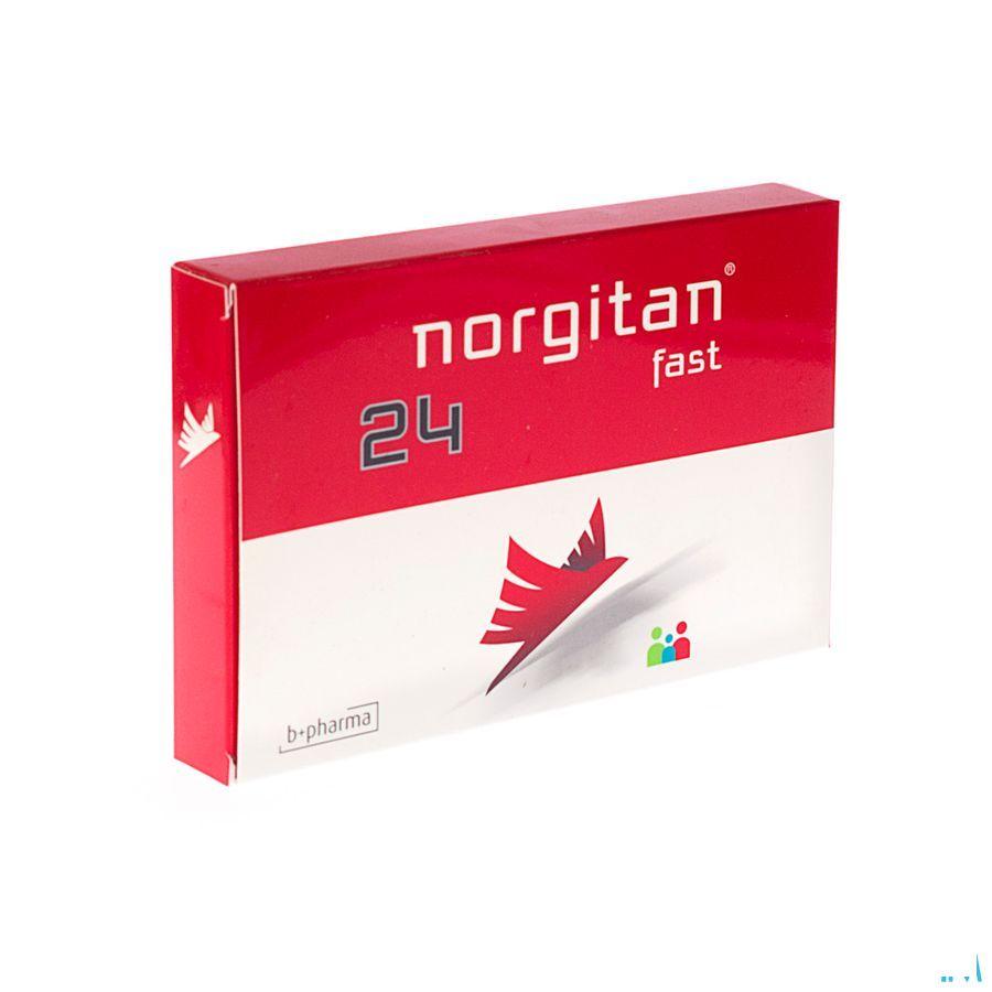 Norgitan Fast 24 Tabletten 24
