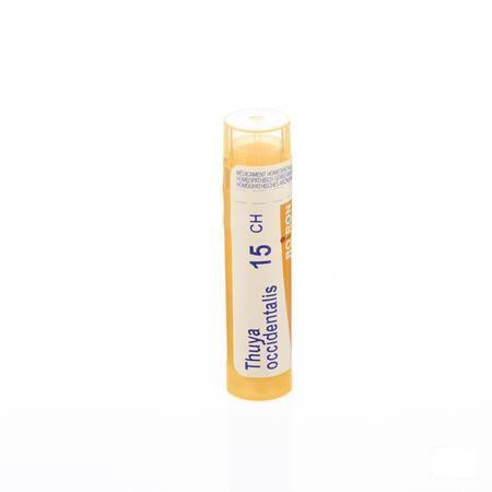 Thuya Occidentalis 15CH Gr 4g  -  Boiron
