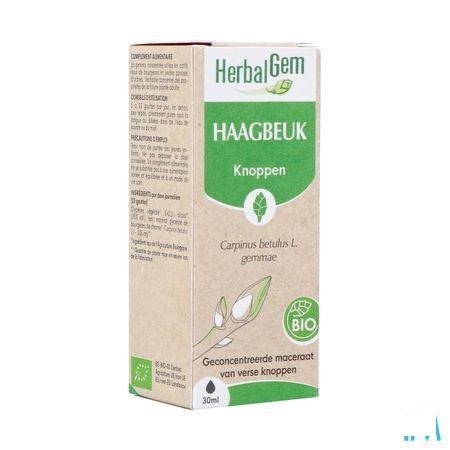 Herbalgem Charme Bio 30 ml