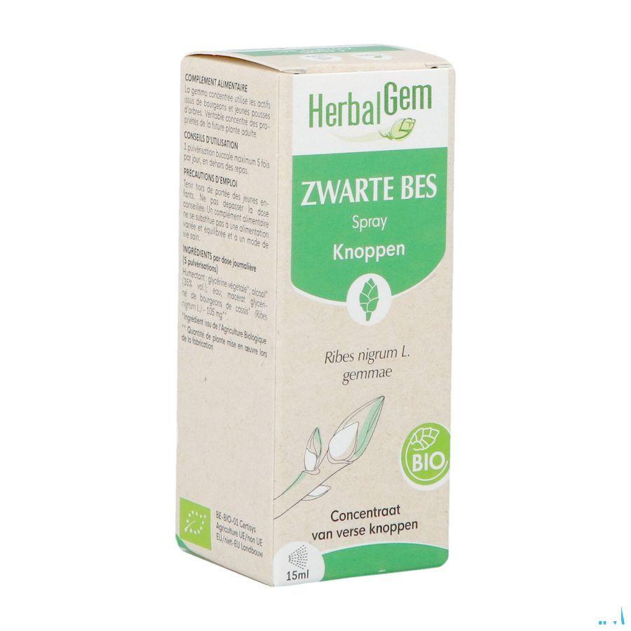 Herbalgem Zwarte Bes Bio Spray 15 ml