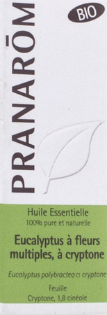 Eucalytus Cryptone Bio Essentiele Olie 10 ml  -  Pranarom