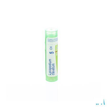 Lycopodium Clavatum 5CH Gr 4g  -  Boiron