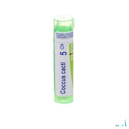 Coccus Cacti 5CH Gr 4g  -  Boiron