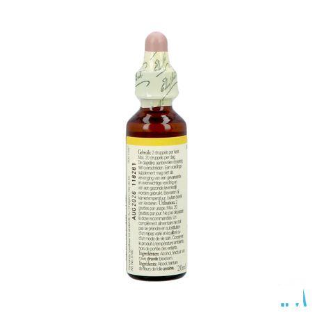 Bach Flower Remedie 36 Wild Oat 20 ml