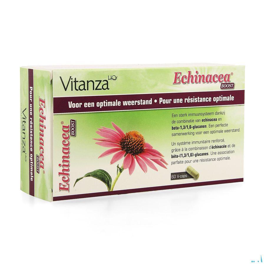 Vitanza Hq Echinacea Boost V-Capsule 60  -  Yvb
