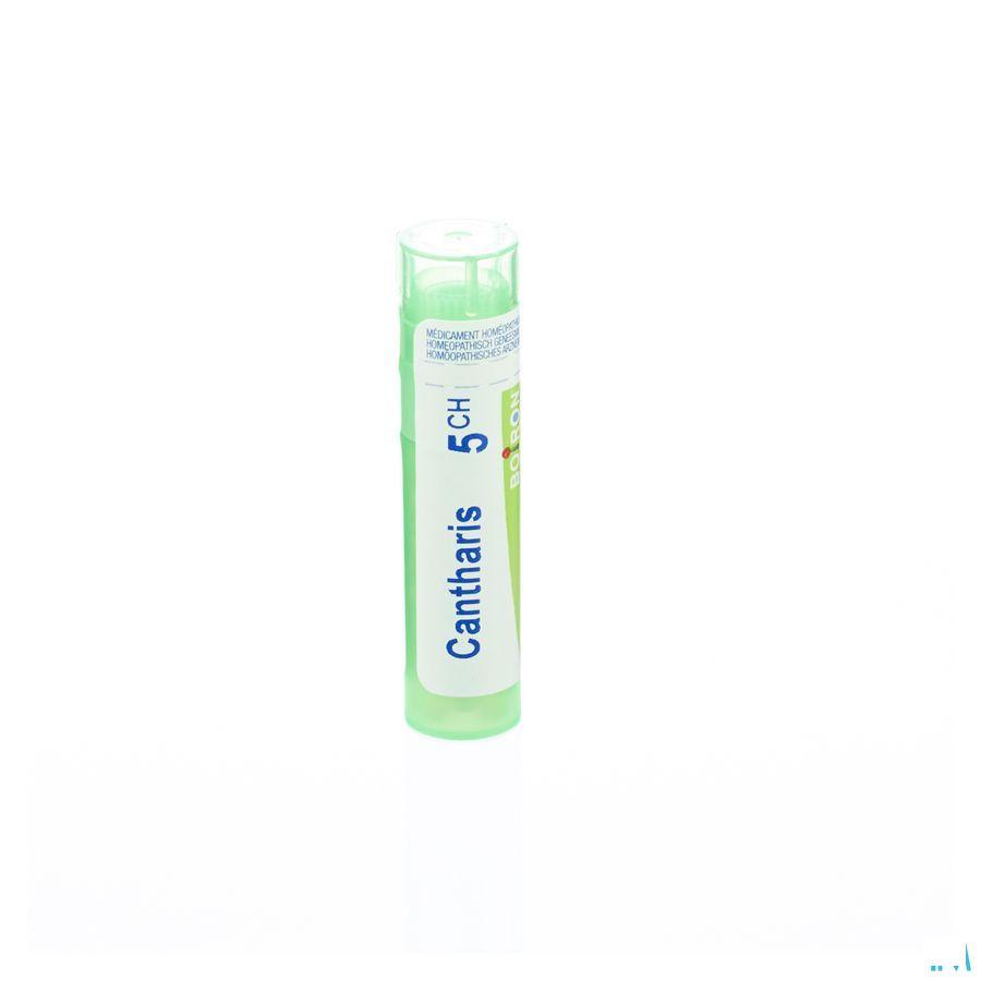 Cantharis 5CH Gr 4g  -  Boiron