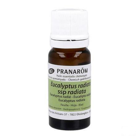 Eucalyptus Radiata Bio Huile Essentielle 10 ml  -  Pranarom