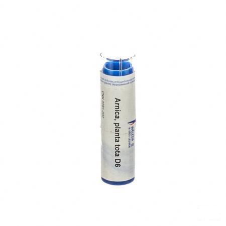Arnica Planta Tota D6 Gr 4g  -  Weleda