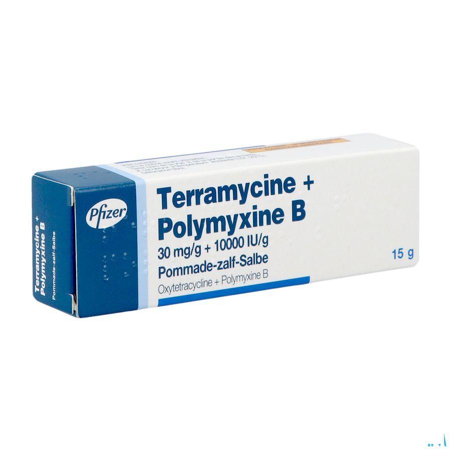 Terramycine Ung Derm 15 gr