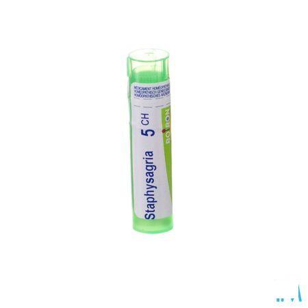 Staphysagria 5CH Gr 4g  -  Boiron