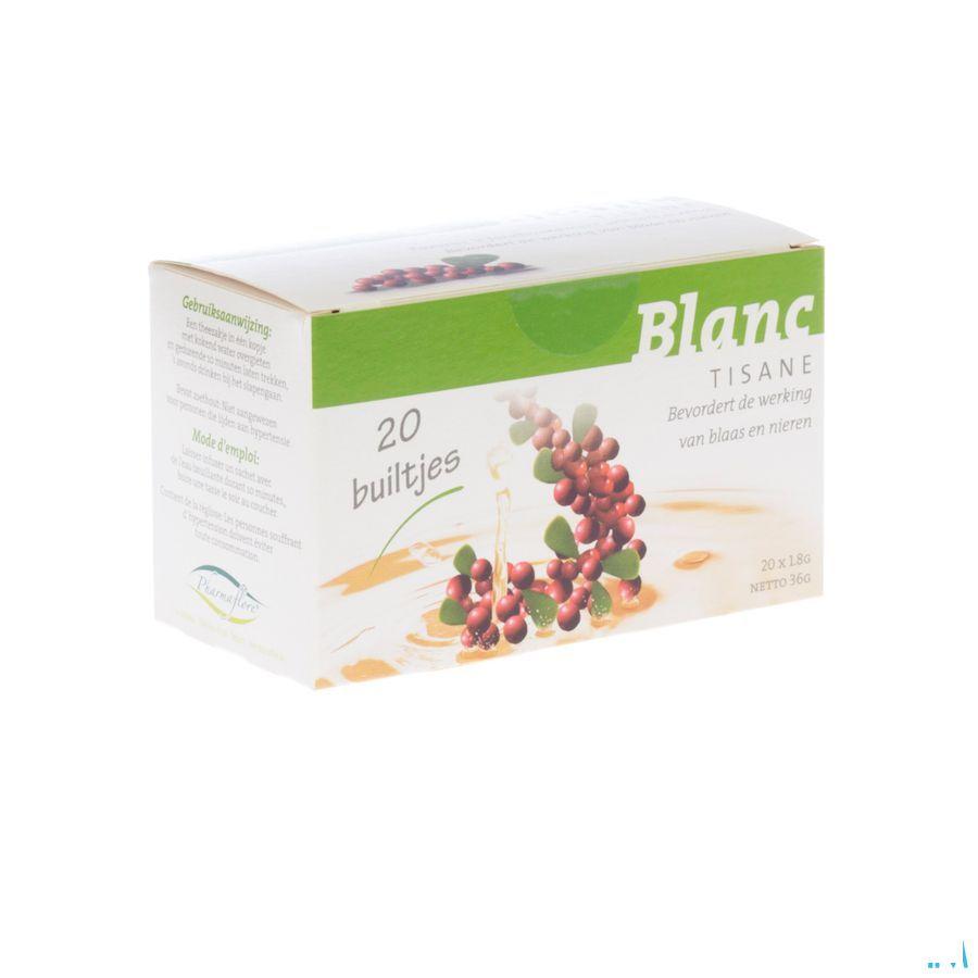 Witte Thee Infusettes 20x1,8g  -  Fagron