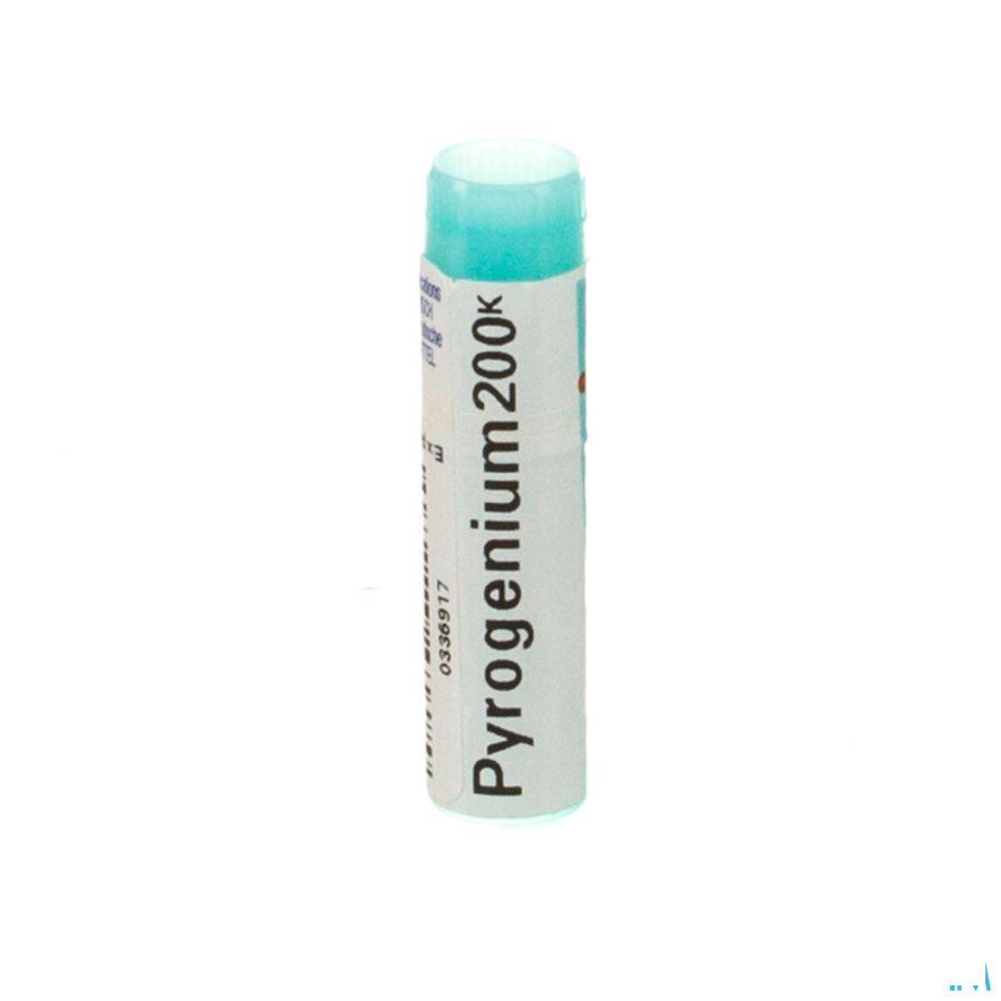 Pyrogenium 200K Gl  -  Boiron