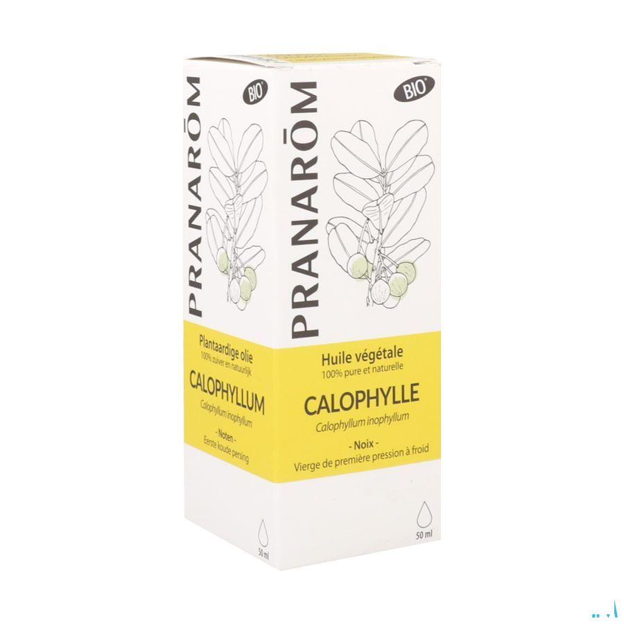 Calophyllus Bio Plantaardige Olie 50 ml  -  Pranarom