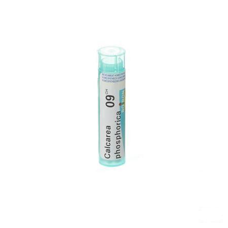 Calcarea Phosphorica 9CH Gr 4g  -  Boiron