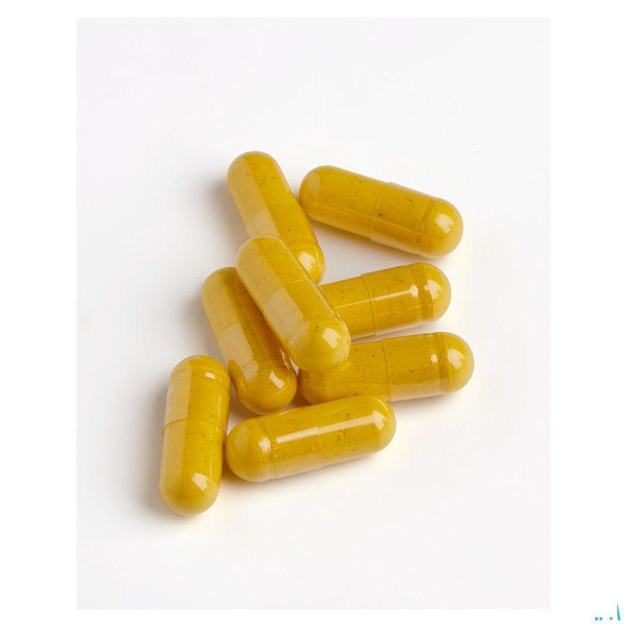 Biotics Berberol Forte 60 gélules  -  Energetica Natura