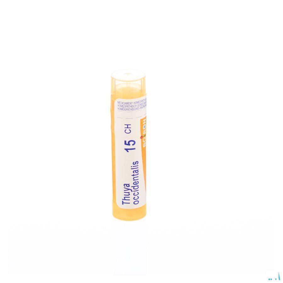 Thuya Occidentalis 15CH Gr 4g  -  Boiron