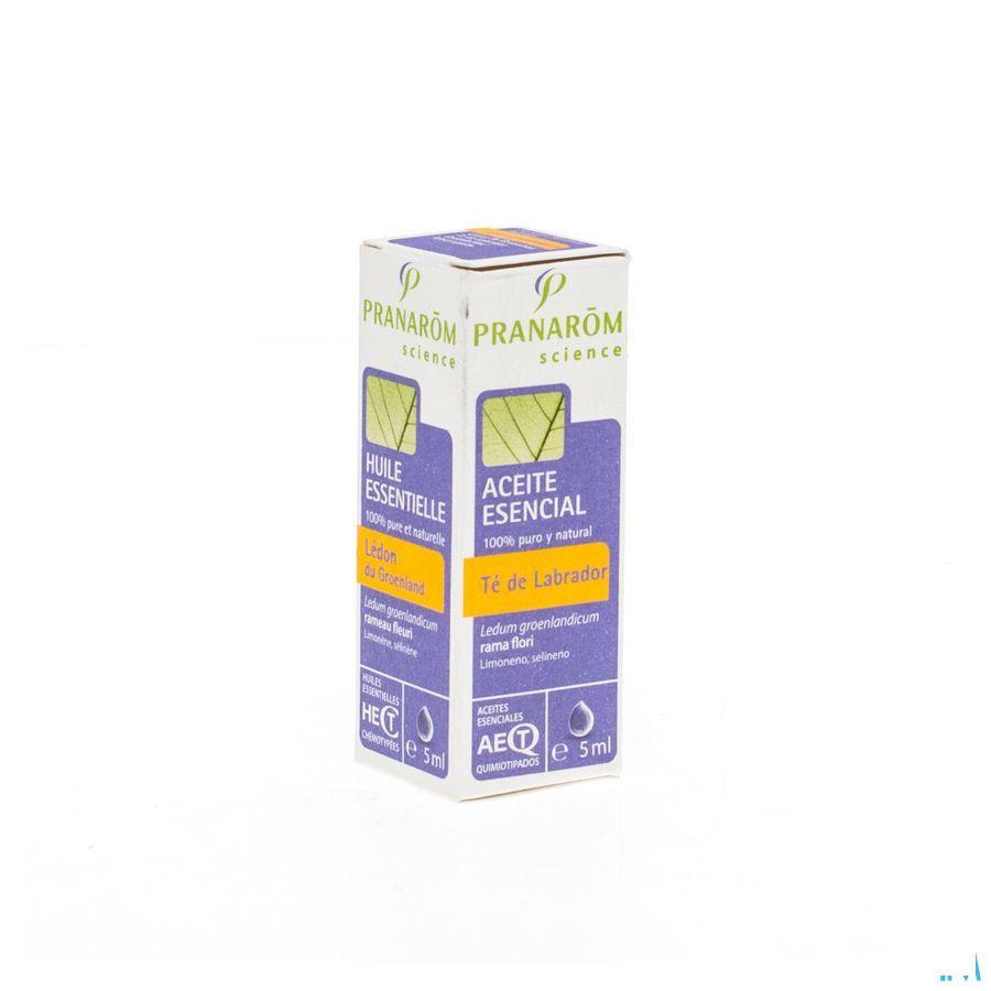 Ledon Groenland Huile Essentielle 5 ml  -  Pranarom